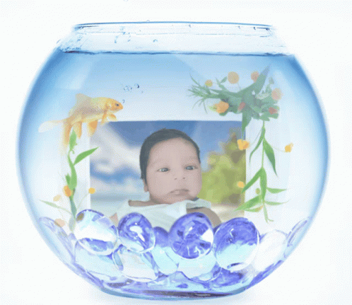 Arun Sharma Baghauch Ghat Kid GIF - Arun Sharma Baghauch Ghat Kid Baby GIFs
