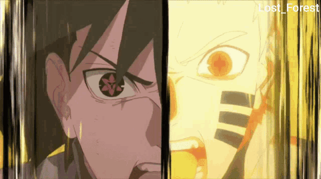 a picture of two anime characters with the words lost forest written below them