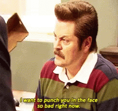 Ron Swanson I Want To Punch You In The Face So Bad Right Now GIF - Ron Swanson I Want To Punch You In The Face So Bad Right Now GIFs