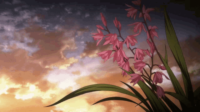 a plant with pink flowers and green leaves against a sunset sky