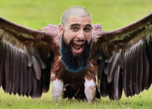 Heem Vulture Vulture Heem GIF - Heem Vulture Vulture Heem GIFs