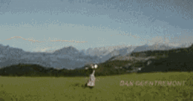 a person standing in a field with mountains in the background