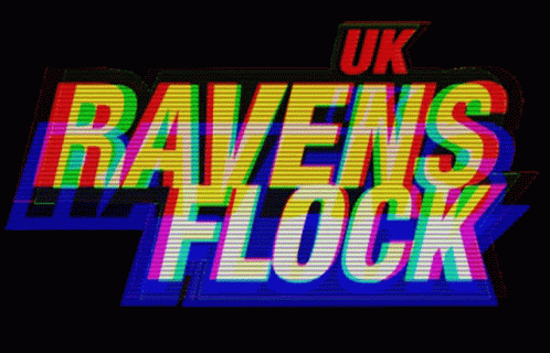 Ravens Baltimore GIF - Ravens Baltimore Baltimore Ravens GIFs