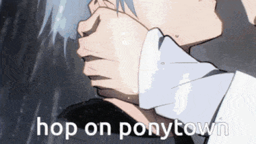 a picture of a person with the words hop on ponytown written on the bottom