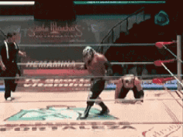 a wrestling match is being played in front of a sign that says hermana