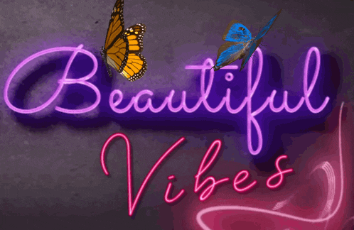 a neon sign that says beautiful vibes with two butterflies on it