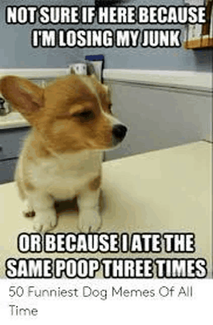 not sure if here because i 'm losing my junk or because i ate the same poop three times
