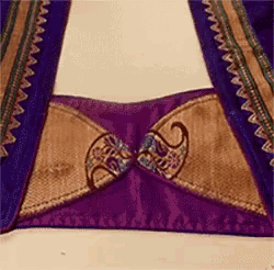 a close up of a purple and gold embroidered blouse