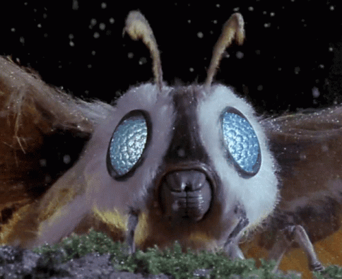 Queen Of The Monsters Mosura GIF - Queen Of The Monsters Mosura Mothra GIFs