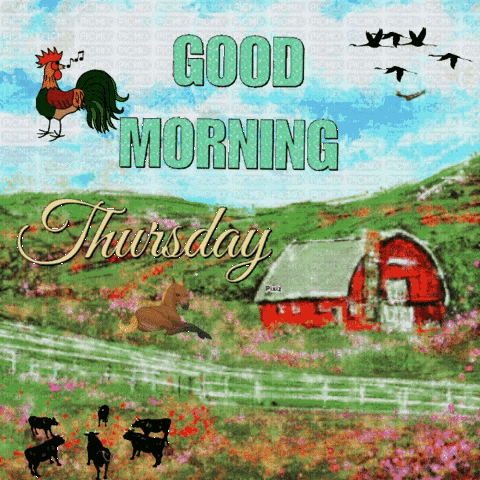 a good morning thursday greeting card with a rooster and cows