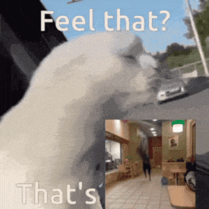 a picture of a cat with the words feel that that 's that 's