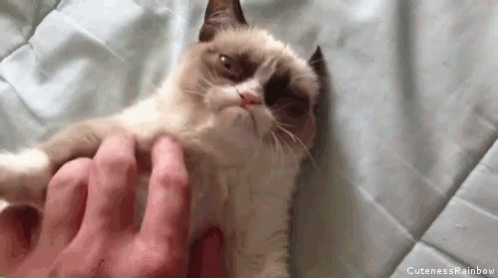 Grumpy Cat Mad Day GIF - Grumpy Cat Mad Day Not Today Human GIFs