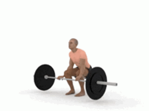 Fit Gif GIF