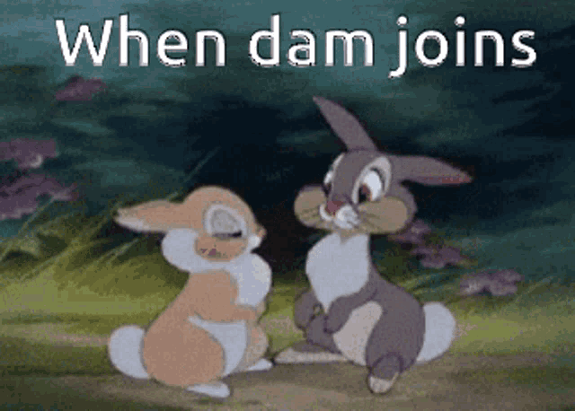 two rabbits sitting next to each other with the words when dam joins