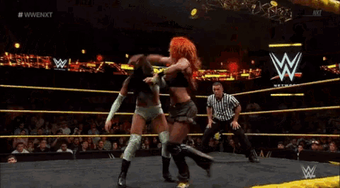 Becky Lynch Submission GIF - Becky Lynch Submission Wwe GIFs