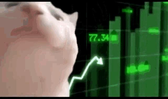 a close up of a cat 's face looking at a stock chart .