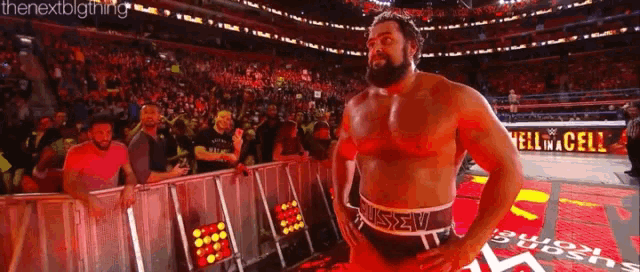 a shirtless wrestler stands in front of a crowd in a stadium with a sign that says hell in the cell