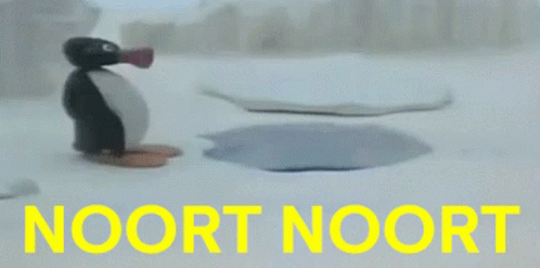 Noort Noort Pingu GIF - Noort Noort Pingu Noot Noot GIFs