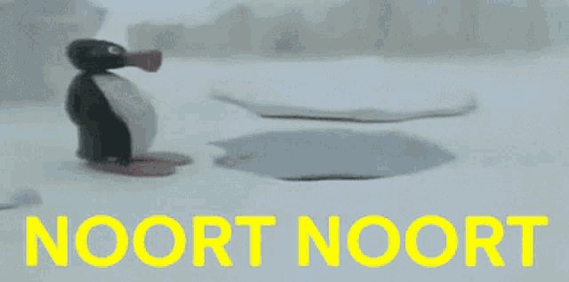 a penguin is standing in the snow with the word noort in yellow