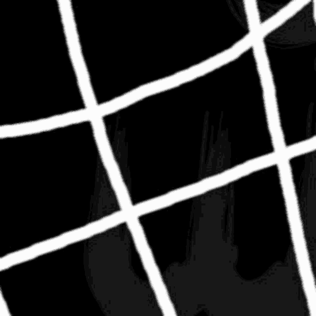 a black and white grid with white lines on a black background