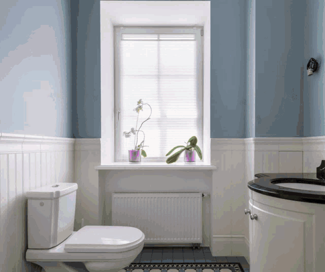 a bathroom with a toilet and a window