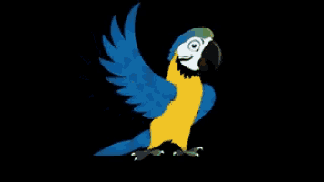 a blue and yellow parrot with its wings spread on a black background