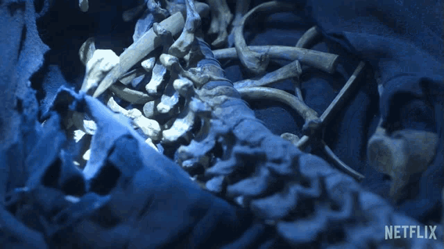 a pile of bones in a dark room with a netflix logo on the bottom