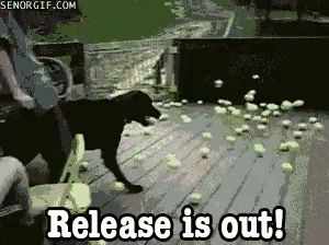 Release It Out GIF - Release Dog Release Is Out GIFs