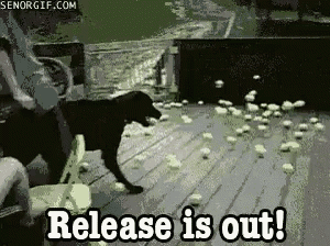 a dog standing on a deck with the words release is out written on it