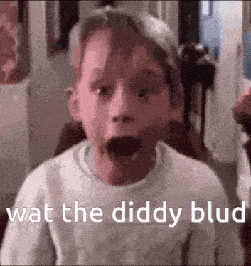 a child is making a funny face and the words wat the diddy blud are on the bottom