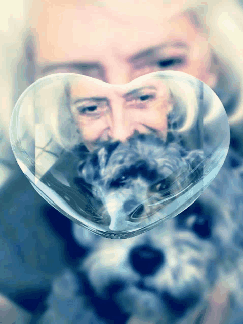 a woman and a dog are reflected in a heart shaped glass container