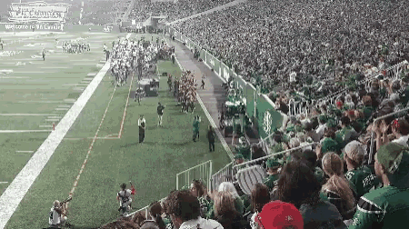 Gainer Gopher GIF - Gainer Gopher Roughriders GIFs