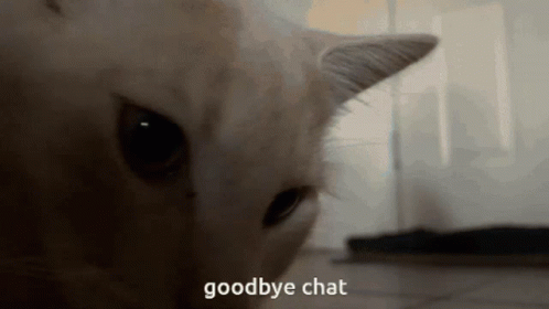 Goodbye Goodbye Chat GIF - Goodbye Goodbye Chat Bye GIFs