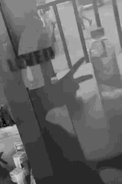 a black and white photo of a door with a shadow on it .