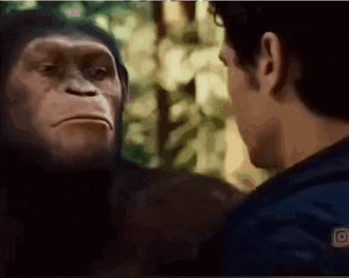 a man and a monkey are looking at each other in a blurry photo