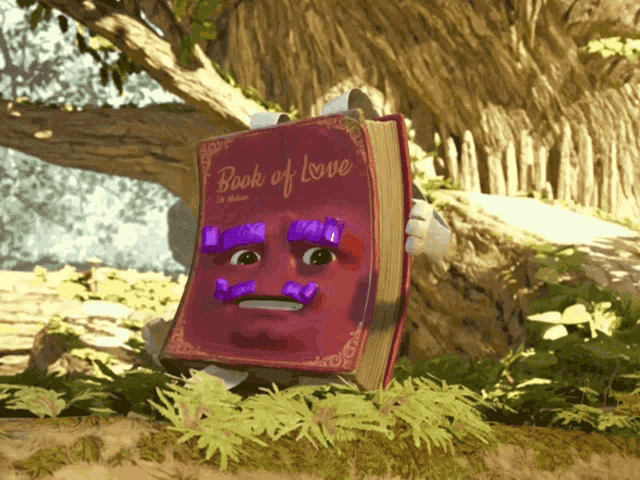 a red book with a face on it titled book of love