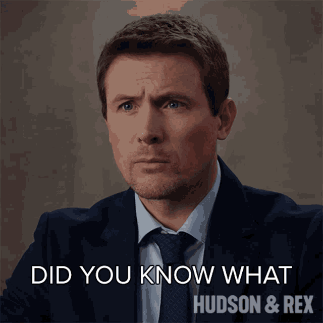 Did You Know What Would Happen Charlie Hudson GIF - Did You Know What Would Happen Charlie Hudson Hudson And Rex GIFs