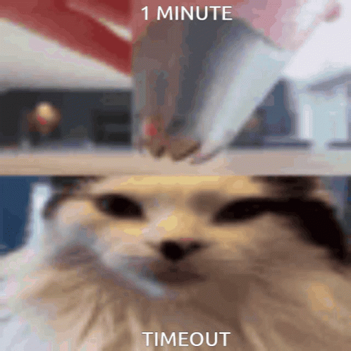 1minute Timeout Timeout GIF