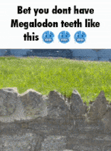 Megalodon Front Yard GIF - Megalodon Front Yard Pointy Rocks GIFs