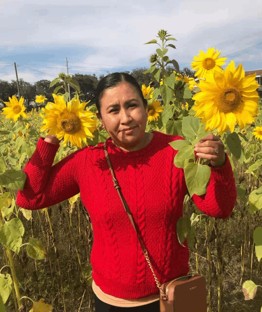 a woman in a red sweater is holding a sunflower in a field