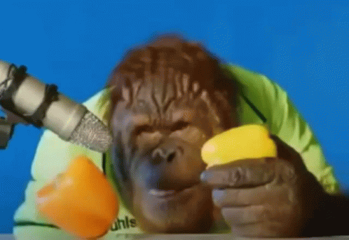 Monkey Eating Pepper Monkey GIF - Monkey Eating Pepper Monkey Eating Monkey GIFs