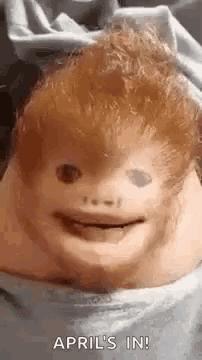 a close up of a doll 's face with the words april 's in written below it .