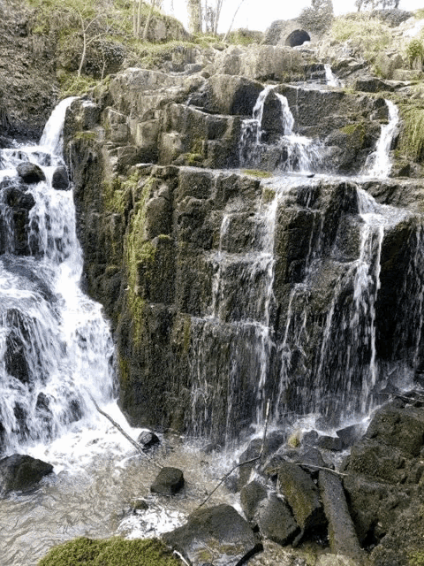 a waterfall is surrounded by moss covered rocks and trees