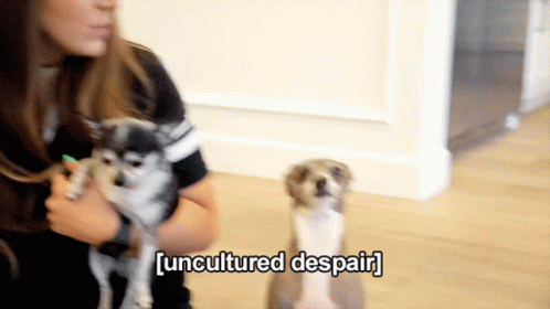 Uncultured Despair Jenna Marbles GIF - Uncultured Despair Jenna Marbles Dog GIFs