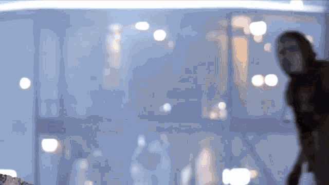 a blurred image of a person standing in front of a window