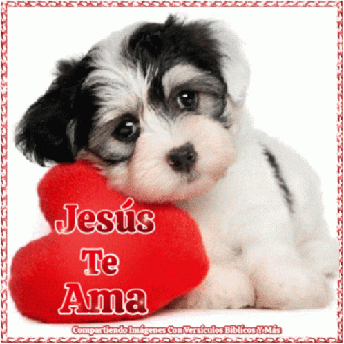 Jesus Te Ama Religioso GIF - Jesus Te Ama Religioso Dog GIFs
