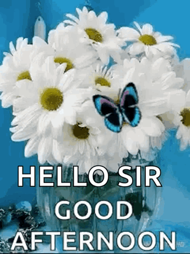 Greetings Good Afternoon GIF - Greetings Good Afternoon Flowers GIFs