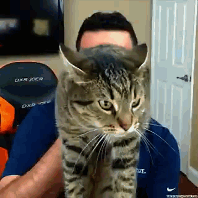 a man is holding a cat that is looking at the camera while wearing a dxr racer shirt