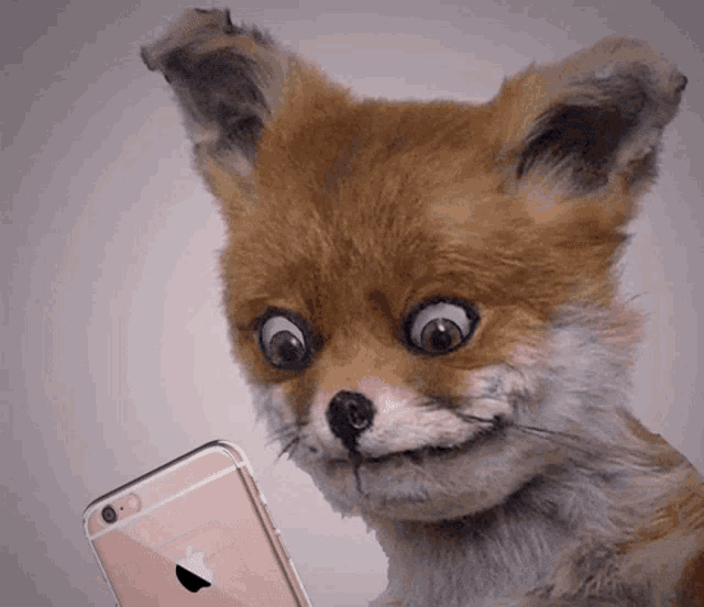 Fox Blinking GIF - Fox Blinking Checks Phone GIFs