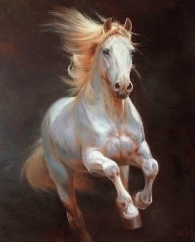 My White Stronger Horse Love You GIF - My White Stronger Horse Love You GIFs